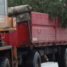 Pompázik karácsonyfa a lakótelepen élőknek is