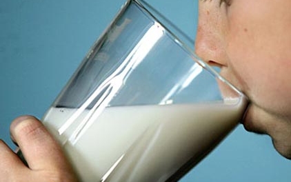 Osztrák tejet és tejterméket ellenőriz a NÉBIH