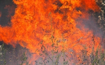 Több, mint harminc tűzoltó kezdte meg az oltást Jászszentlászló közelében