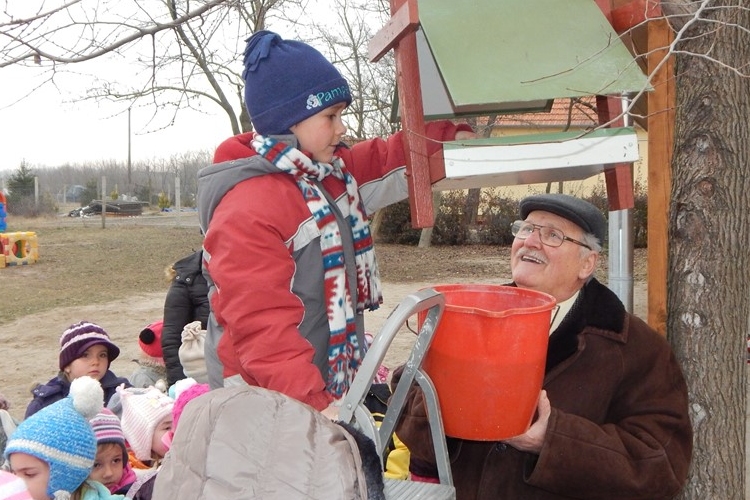 Madáretetés Petőfiszálláson