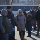 Régmúlt idők disznóvágási hangulatát idézték fel a városközpontban