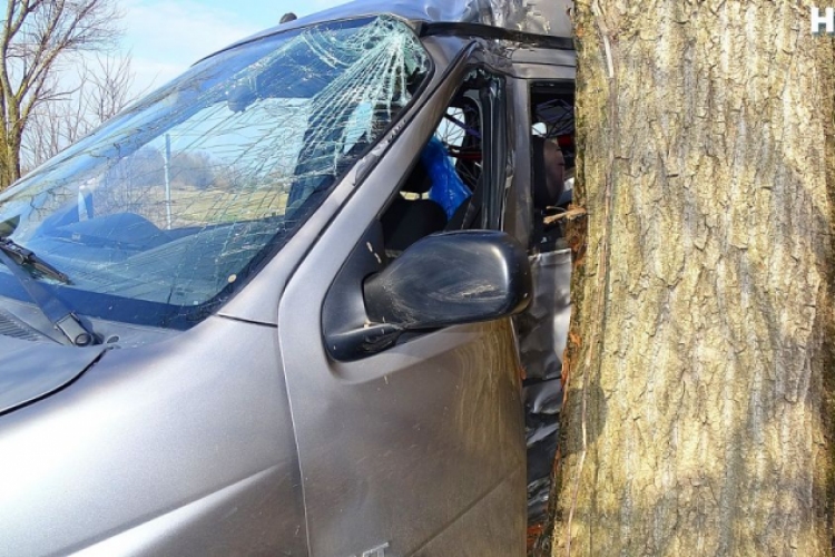 Fának csapódott egy autó Kiskunfélegyháza mellett vasárnap