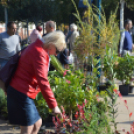 Színes virág kavalkád az őszi virágünnepen