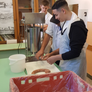 Pályaorientációs napot tartottak a Mezgében