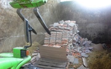 Elvették és bezúzták egy szlovák kamionos tojásait