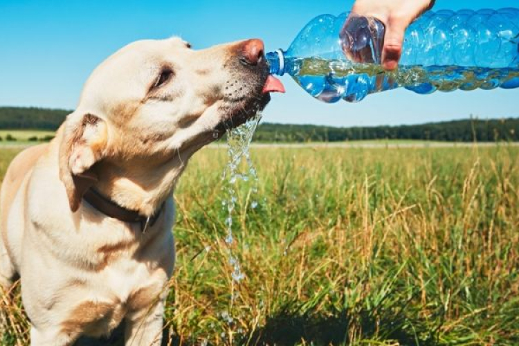 Országszerte hőség várható