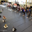 Újjáéledt a Koppányok Tűzmadara, Csillogó Érmek az Országos Bajnokságon