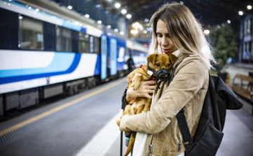 Mostantól minden InterCityn egyszerűbb kutyával utazni 