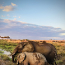 Tanzánia - a nyomor és a luxus két arca