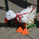 Kreatív ízek és hagyományos receptek találkoztak a Libafesztivál főzőversenyén