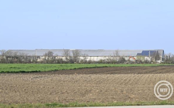 Nagy István: a saját állatai megóvása érdekében minden gazdálkodó továbbra is tartsa be a hatósági előírásokat