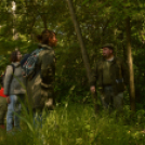 Erdőséta a madarak és fák napján