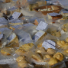 Színes virág kavalkád az őszi virágünnepen