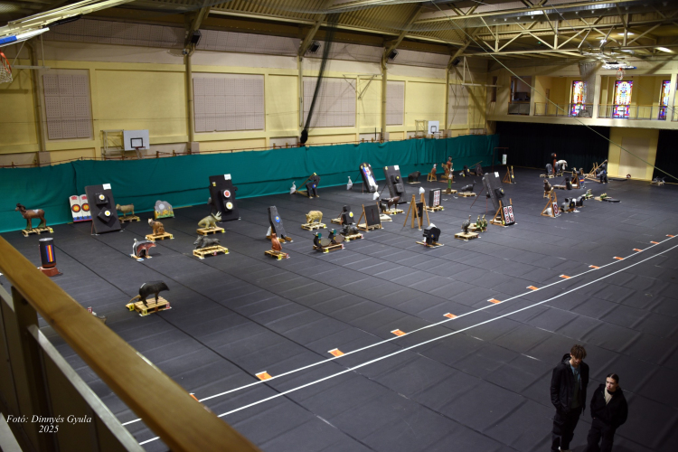 Szárnyal a Koppányok Tűzmadara